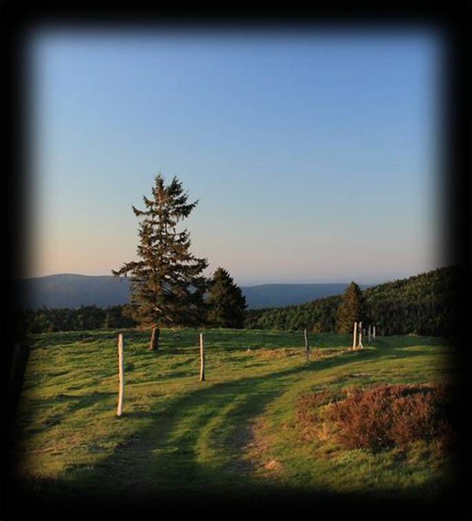 Paysages